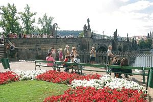 sokol praha