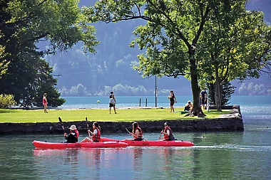 Manor Farm , Switzerland, Switzerland