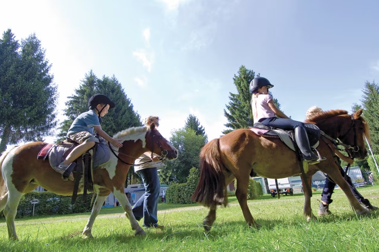 Horse Riding at Gitzenweiler Hof