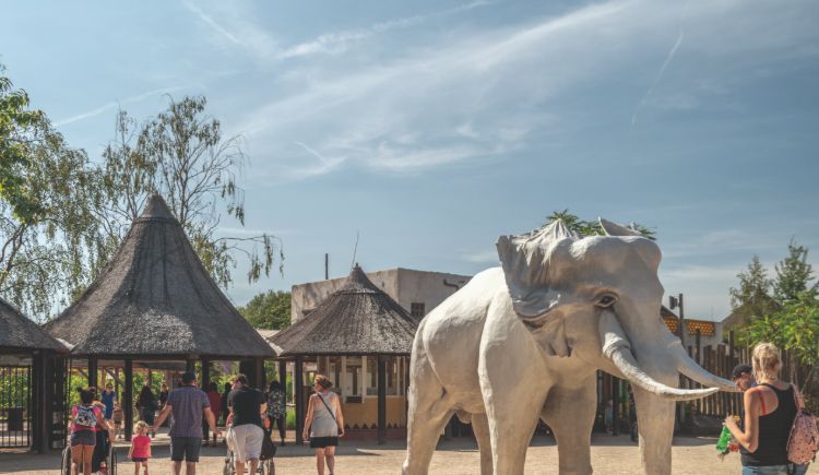 Beekse Bergen Attraction Pass