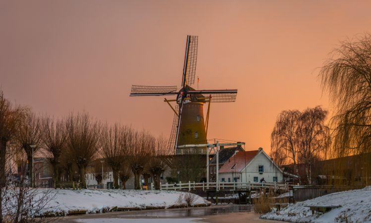 Beekse Bergen Discounts