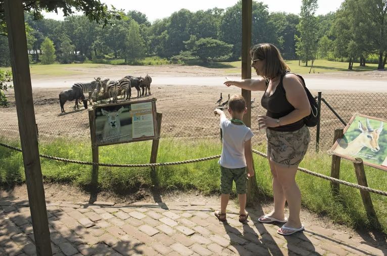 Beekse Bergen Last Minute Deal