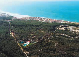 Sao Pedro De Moel Campsite